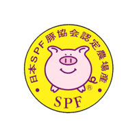 SPF��