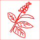 ガルシニアV減肥杜仲茶