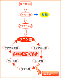 黒酢,サプリ