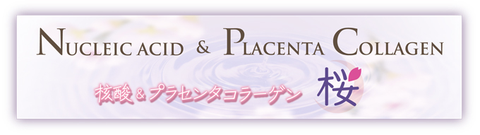 �R���[�Q��,�T�v��